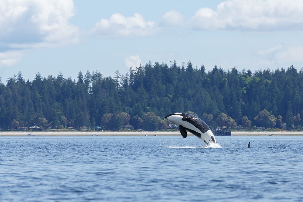 Puget Sound, Washington